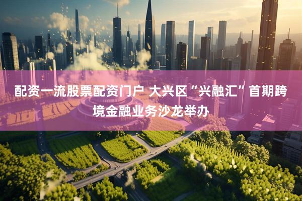 配资一流股票配资门户 大兴区“兴融汇”首期跨境金融业务沙龙举办