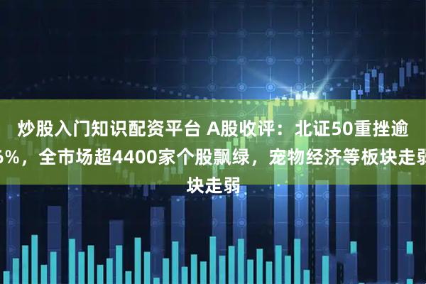 炒股入门知识配资平台 A股收评：北证50重挫逾6%，全市场超4400家个股飘绿，宠物经济等板块走弱