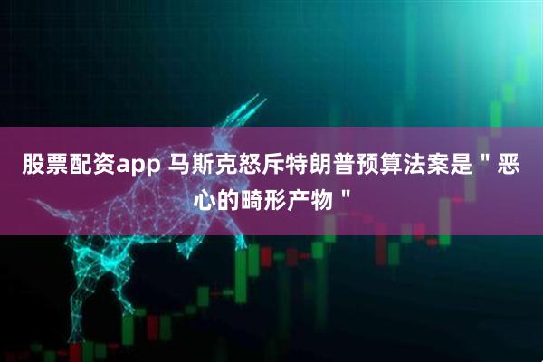 股票配资app 马斯克怒斥特朗普预算法案是＂恶心的畸形产物＂