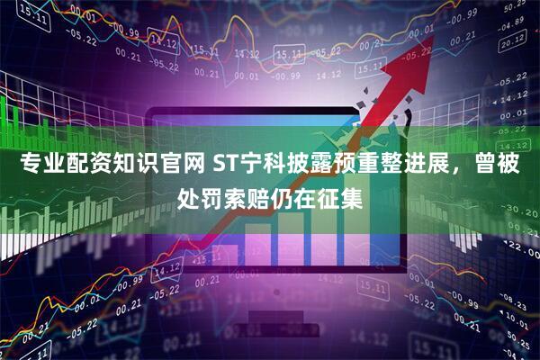 专业配资知识官网 ST宁科披露预重整进展，曾被处罚索赔仍在征集