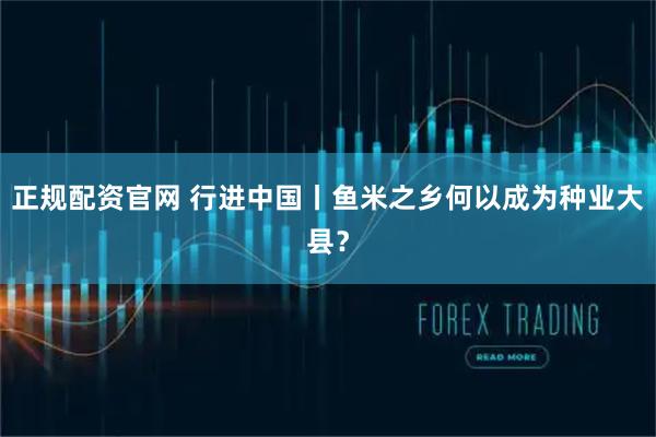 正规配资官网 行进中国丨鱼米之乡何以成为种业大县？